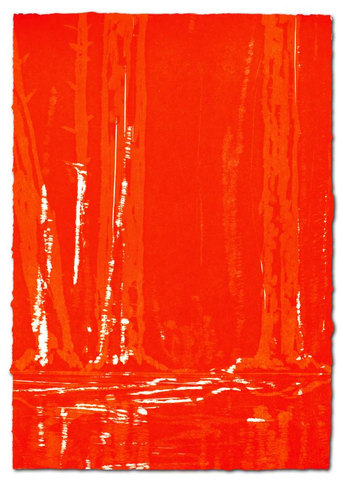 Wald-Spiegel-Wasser, 2011 | 77,0 x 54,0 cm | Unikat | WVZ 438